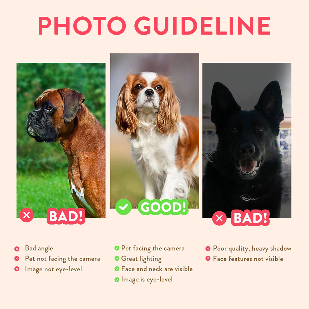 Personalized Pet Portraits Pho - Photographic Memory ulasan dan harga
