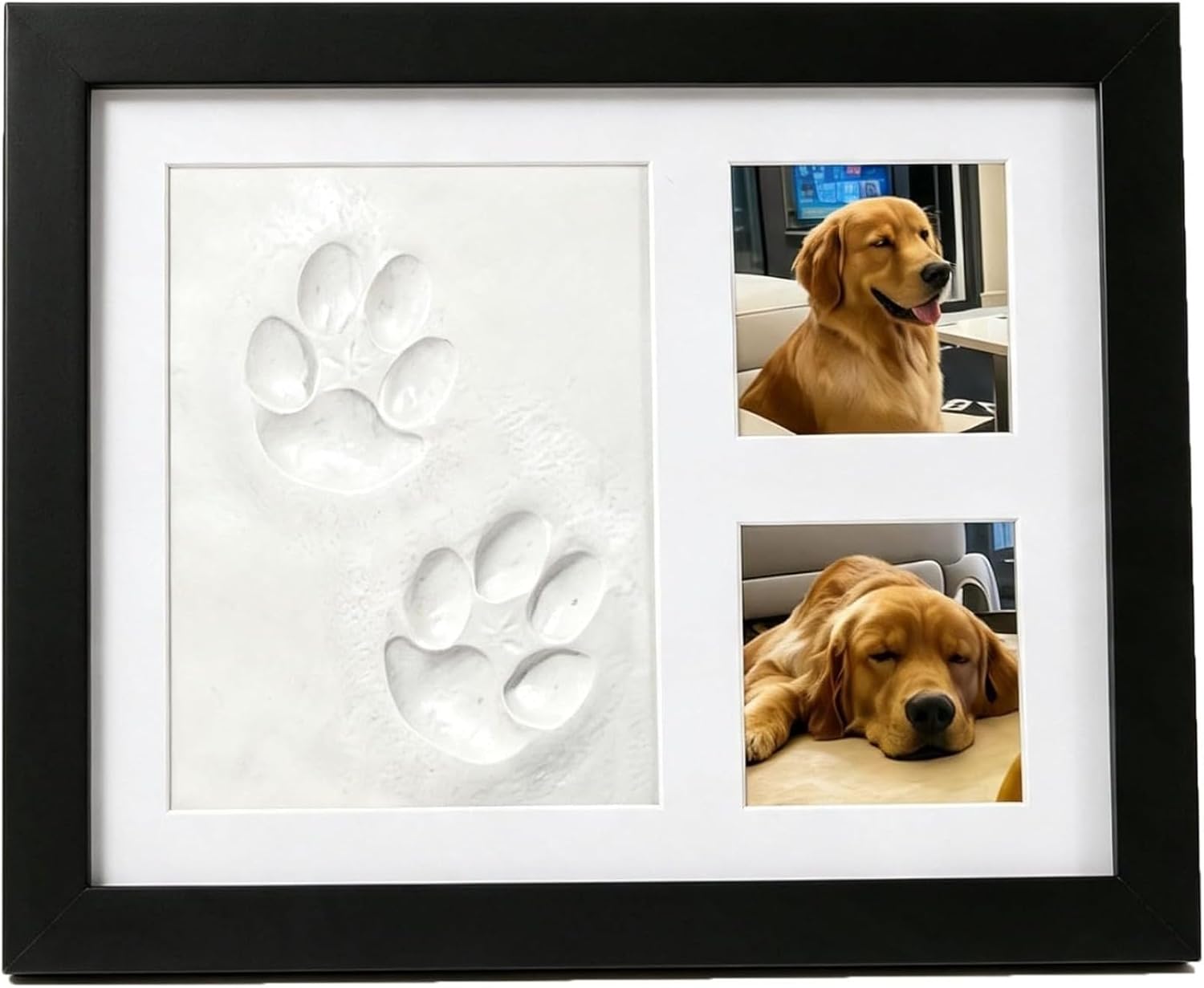 DIY Pet Paw Print Memorial Kit - Photographic Memory ulasan dan harga